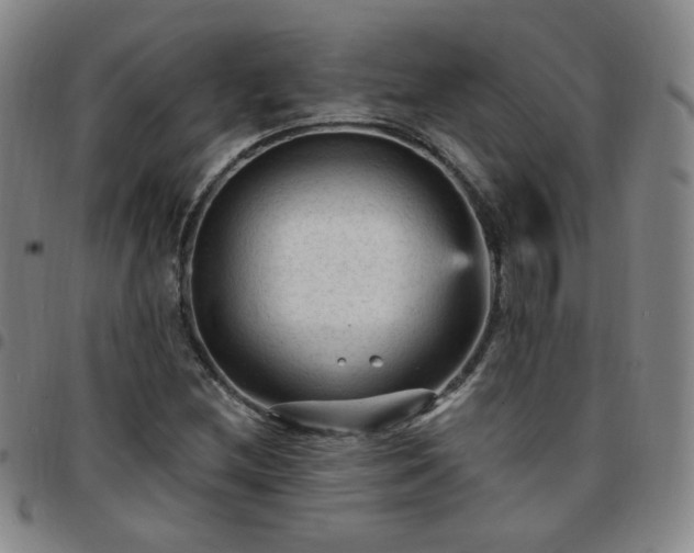 X0000097771212200803141738