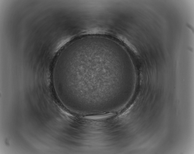 X0000097771213200803141738