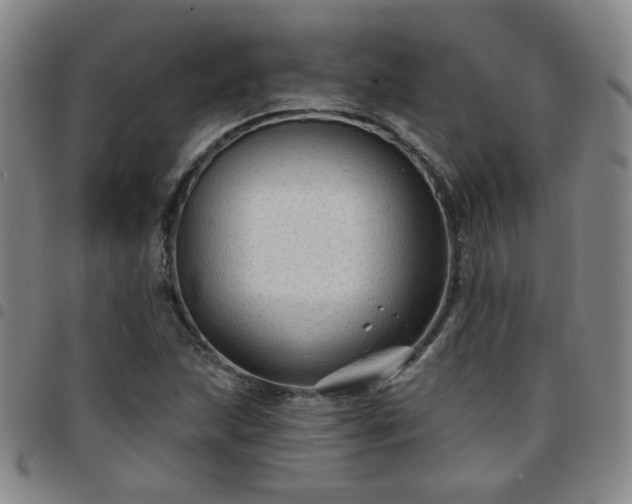 X0000097771215200803141738