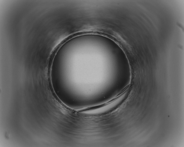 X0000097771216200803141738