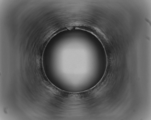 X0000097771217200803141738