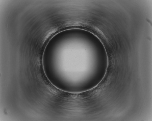X0000097771218200803141738