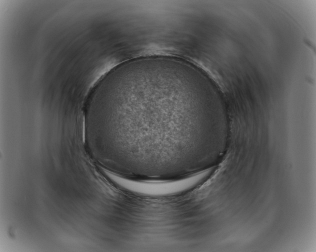 X0000097771219200803141738