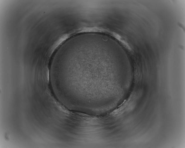 X0000097771221200803141738