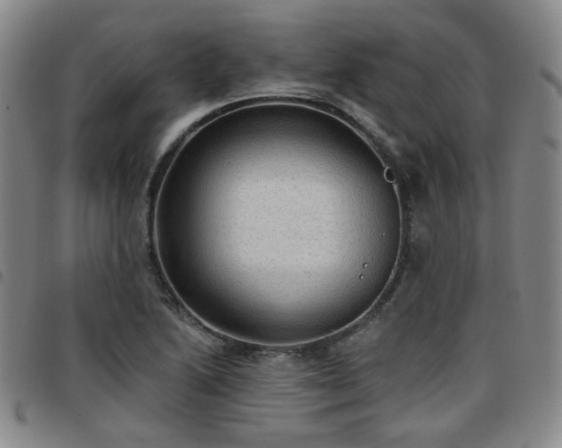 X0000097771222200803141738