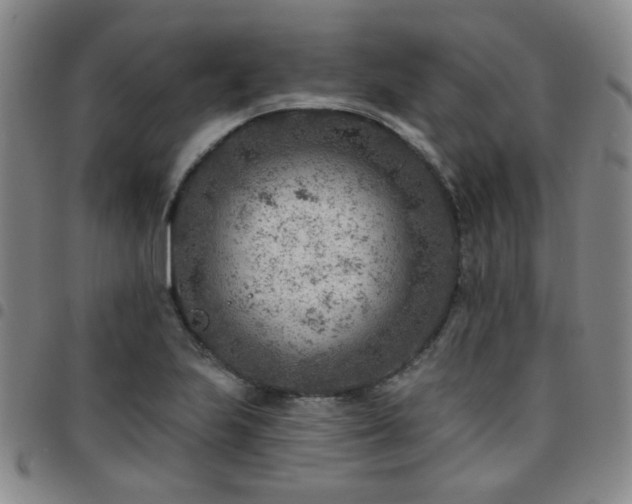 X0000097771223200803141738