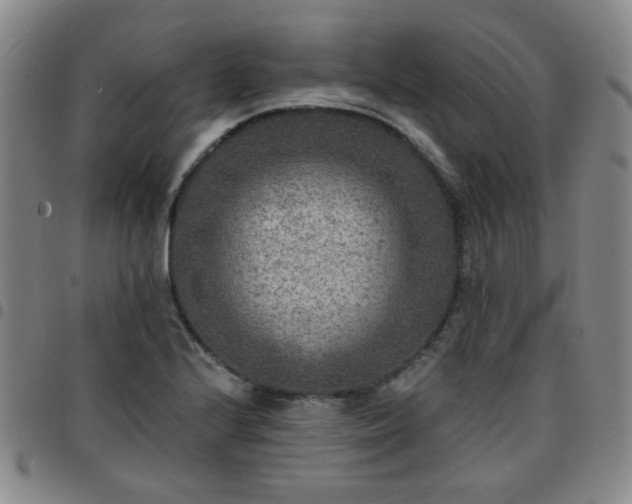 X0000097771224200803141738