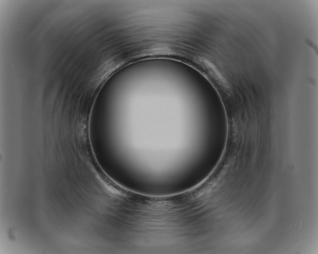 X0000097771225200803141738
