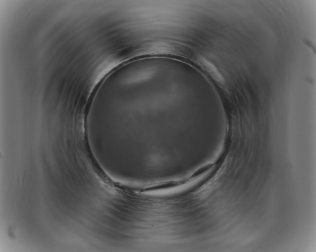 X0000097771226200803141738