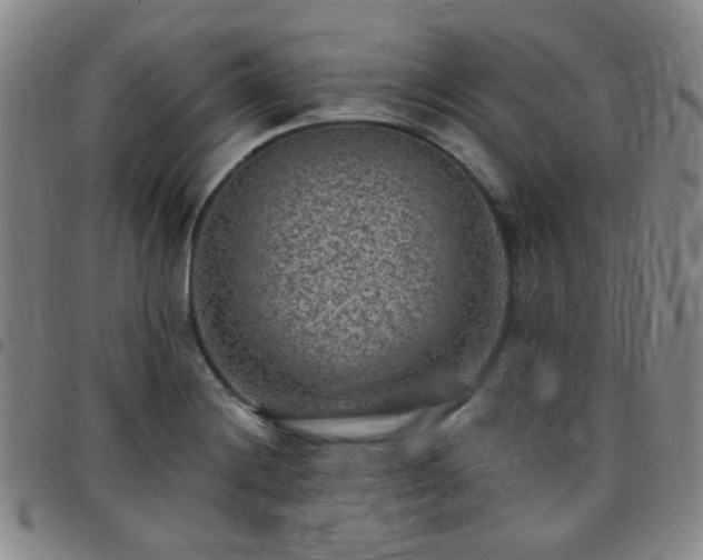 X0000097771228200803141738