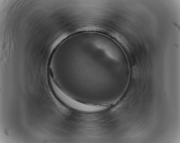 X0000097771229200803141738