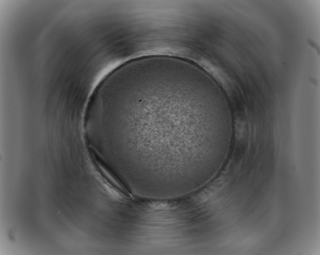 X0000097771230200803141738