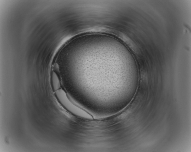 X0000097771232200803141738