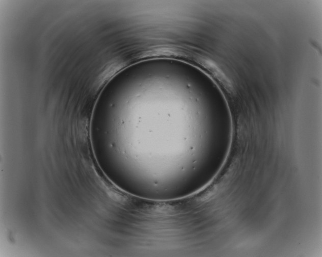 X0000097771233200803141738