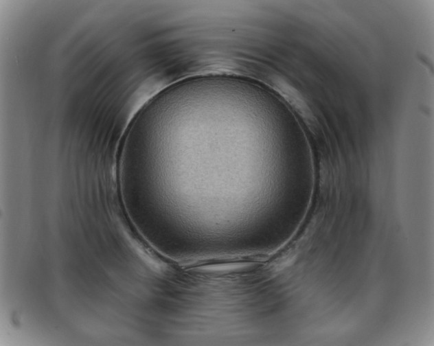 X0000097771234200803141738