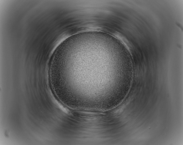 X0000097771235200803141738