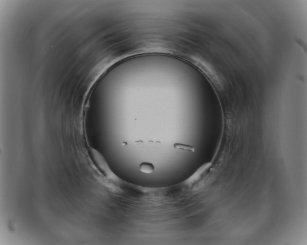 X0000097771236200803141738