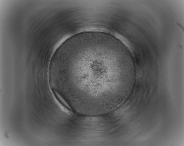 X0000097771237200803141738