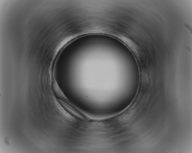 X0000097771238200803141738