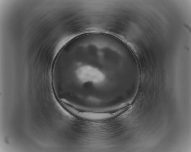 X0000097771239200803141738