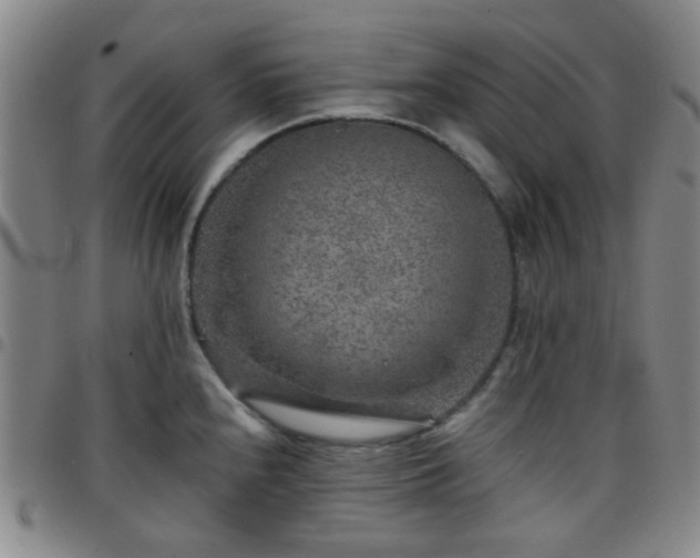 X0000097771240200803141738