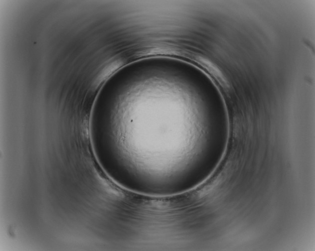 X0000097771241200803141738
