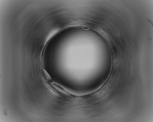 X0000097771242200803141738