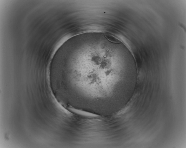 X0000097771243200803141738