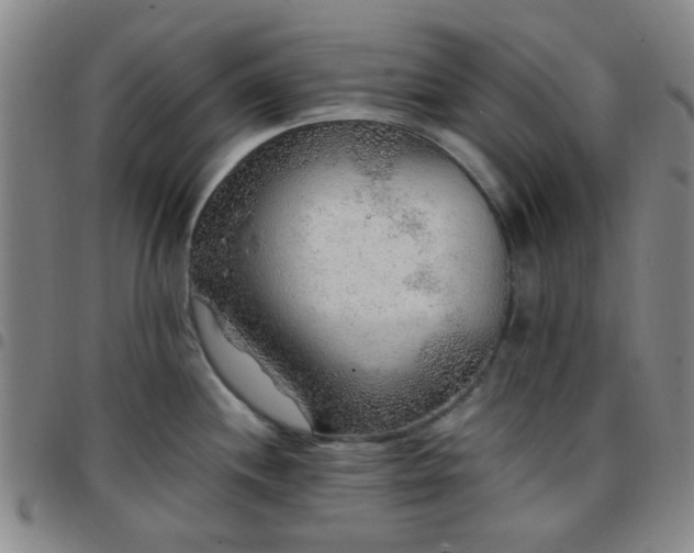 X0000097771244200803141738