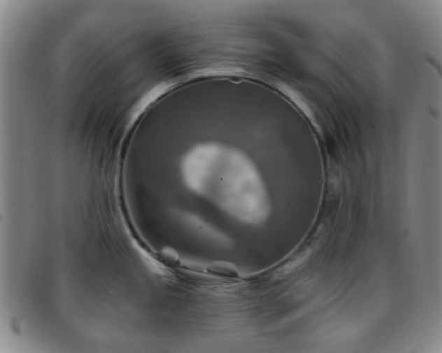 X0000097771245200803141738