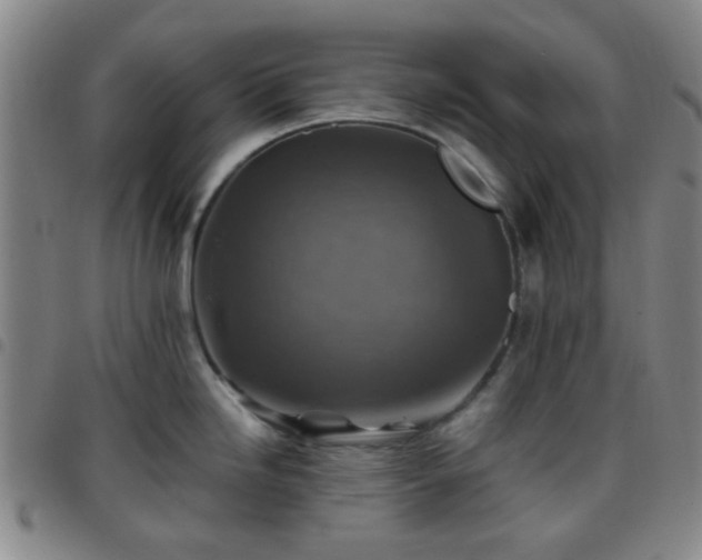 X0000097771246200803141738