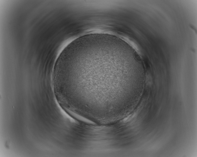 X0000097771247200803141738