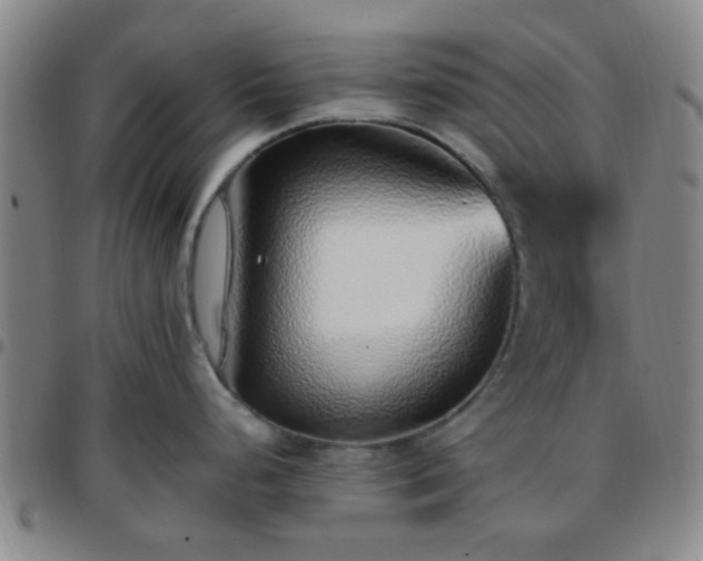 X0000097771248200803141738
