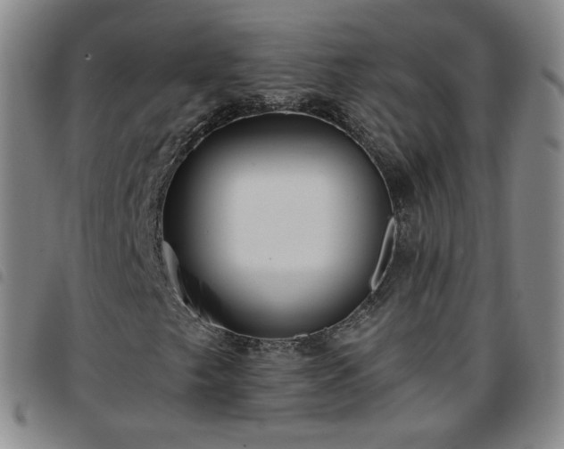 X0000097771249200803141737