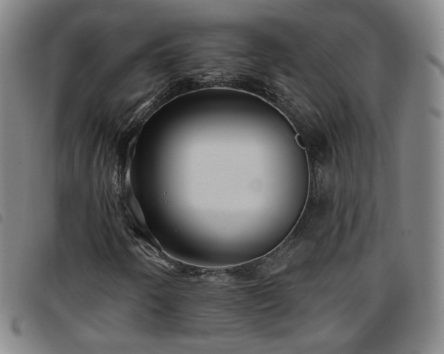 X0000097771250200803141737