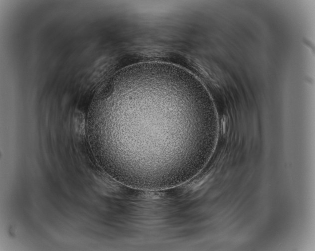 X0000097771251200803141737