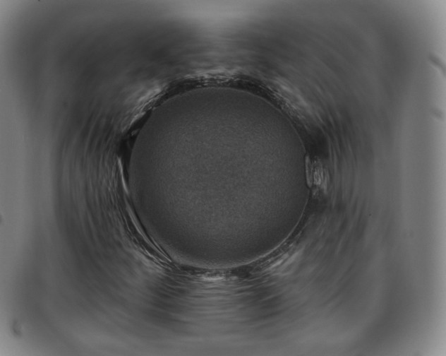 X0000097771252200803141737