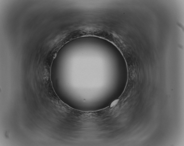 X0000097771253200803141737