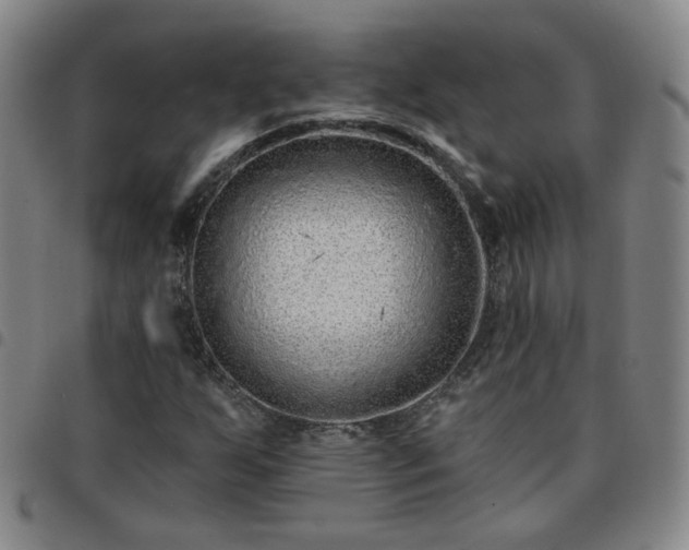 X0000097771255200803141737