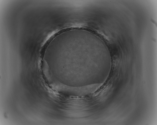 X0000097771256200803141737