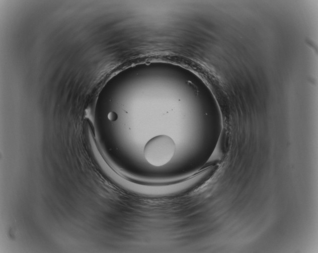 X0000097771257200803141737