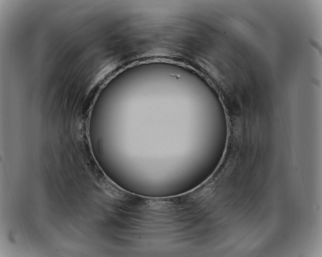 X0000097771258200803141737