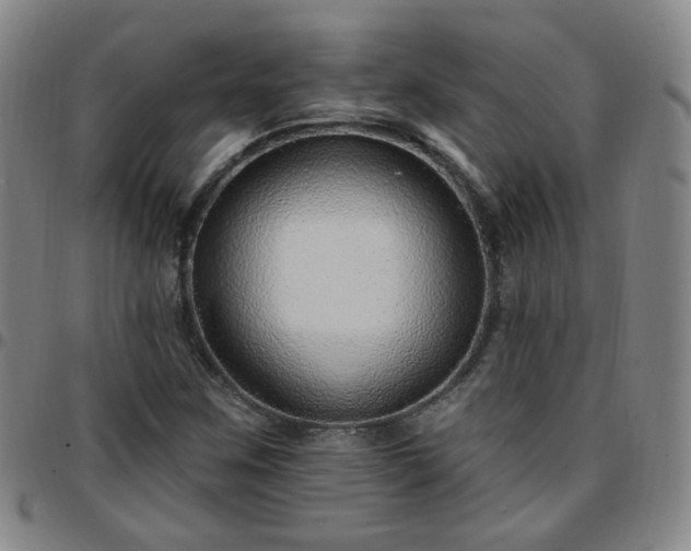X0000097771259200803141737