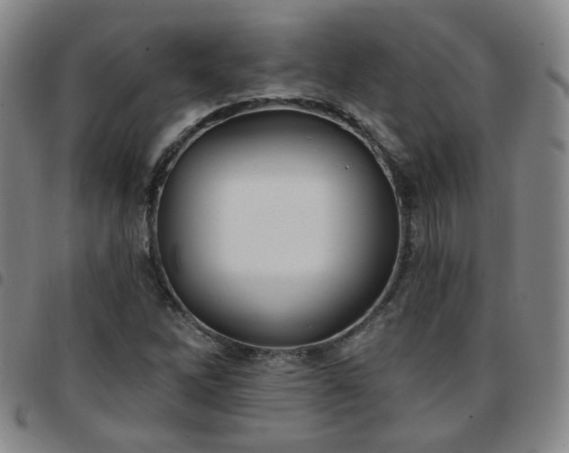 X0000097771262200803141737