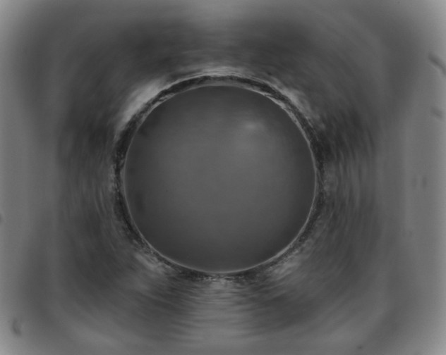 X0000097771263200803141737