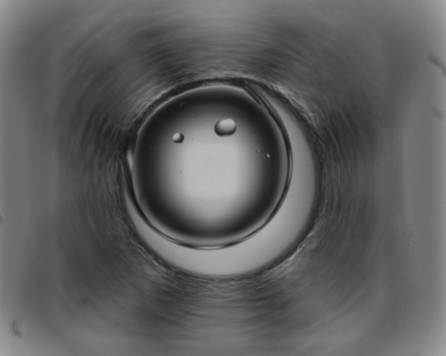 X0000097771265200803141737
