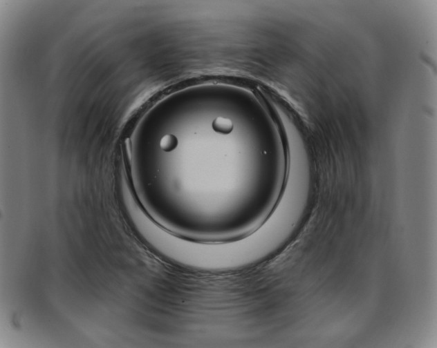 X0000097771266200803141737