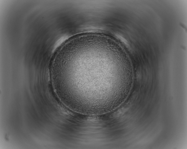 X0000097771267200803141737