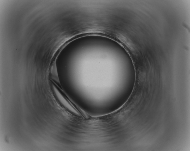 X0000097771268200803141737