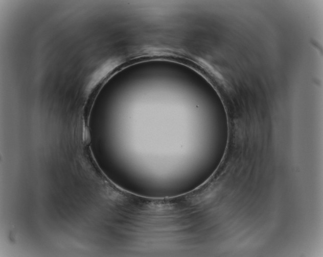 X0000097771269200803141737